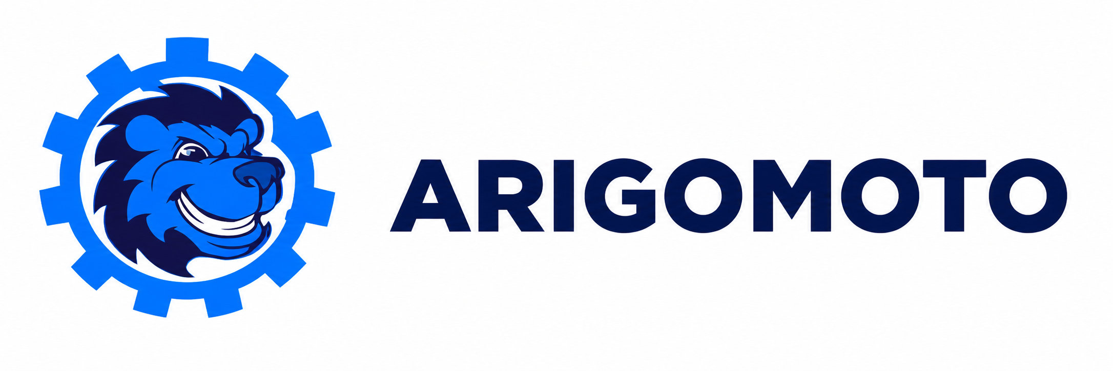 ARIGO SARL